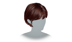 Regular Brown icon
