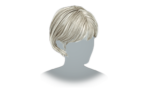 Platinum Silver icon